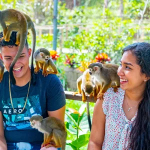 MONKEYLAND & PLANTATION TOUR - US$110.00 p/p (Duration 5 hrs)