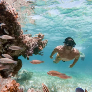 SNORKELING CRUISE - US$133.00 p/p (Duration 4 hrs)